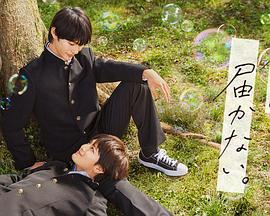 六月丁香激情综合色啪小说